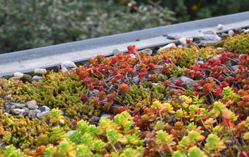 the cost of Greenleys green roof installation
