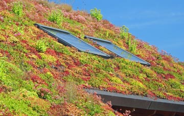 Greenleys living roof systems